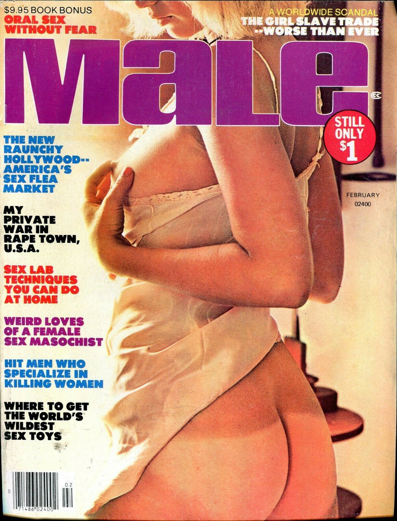 Male Magazine America's Sex Flea Market February 1977 061219lm-ep - Used