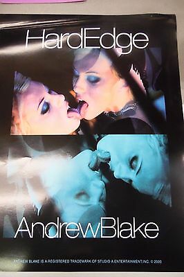 Hard Edge Adult Movie Poster by Andrew Blake 2003 24 X 18