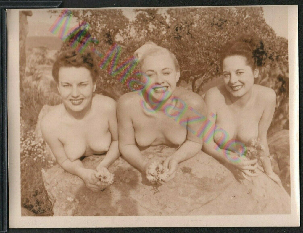 Vintage B&W Risque Pinup 4" x 5" Three Sexy Ladies Beautiful Cheesecake BC70