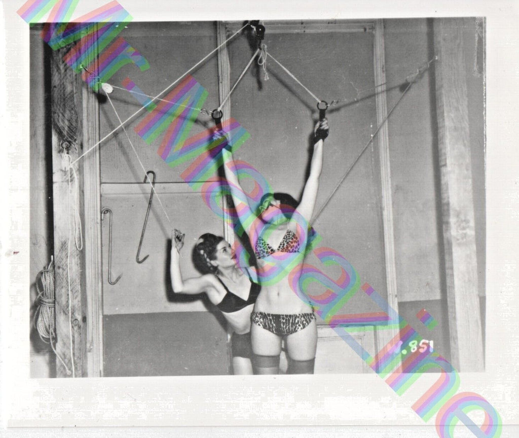 Vintage B&W Risque Pinup 4"x5" Sexy Bettie Page Cheesecake BL2
