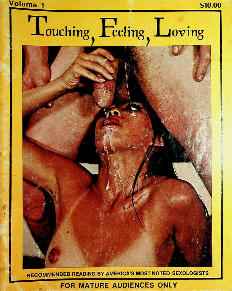 Touching, Feeling, Loving Magazine Sexual Positions vol.1 1970's 021021lm-ep