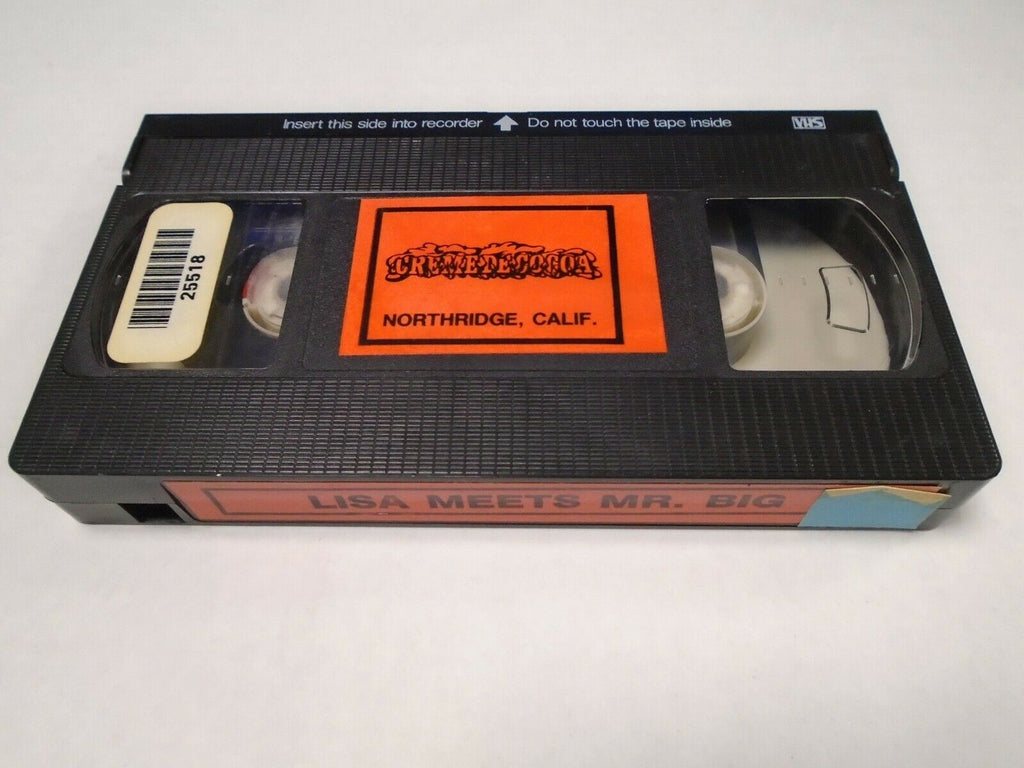 Lisa Meets Mr Big Shaun Costello Renee Duval 1977 Adult VHS 021519AMP3