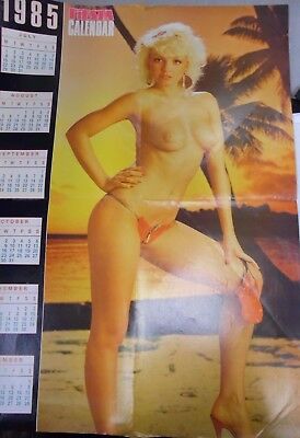 Fiesta 1985 Poster Calendar 103017lm-ep