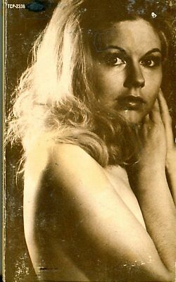 Sigrid's Beautiful Frame Adult Novel by Gus Stevens 1972 042814lm-ea