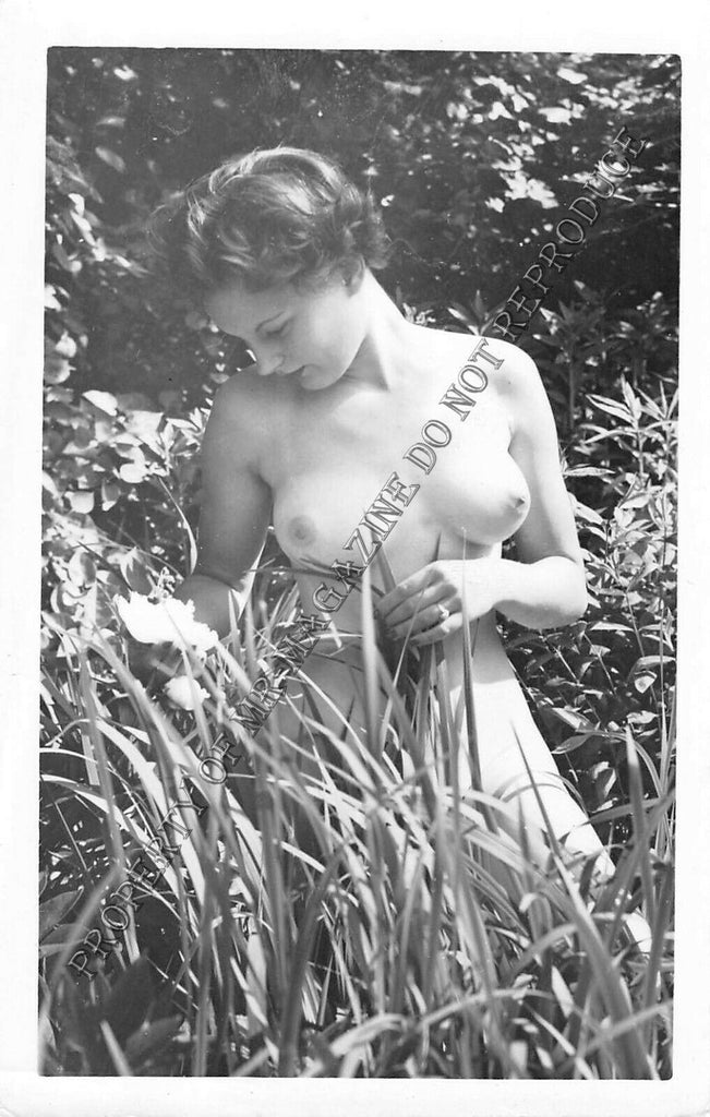 Adult Vintage 1950s B&W Photo 3.5x5.5 Beautiful Brunette Perky Tits Nude 290FF