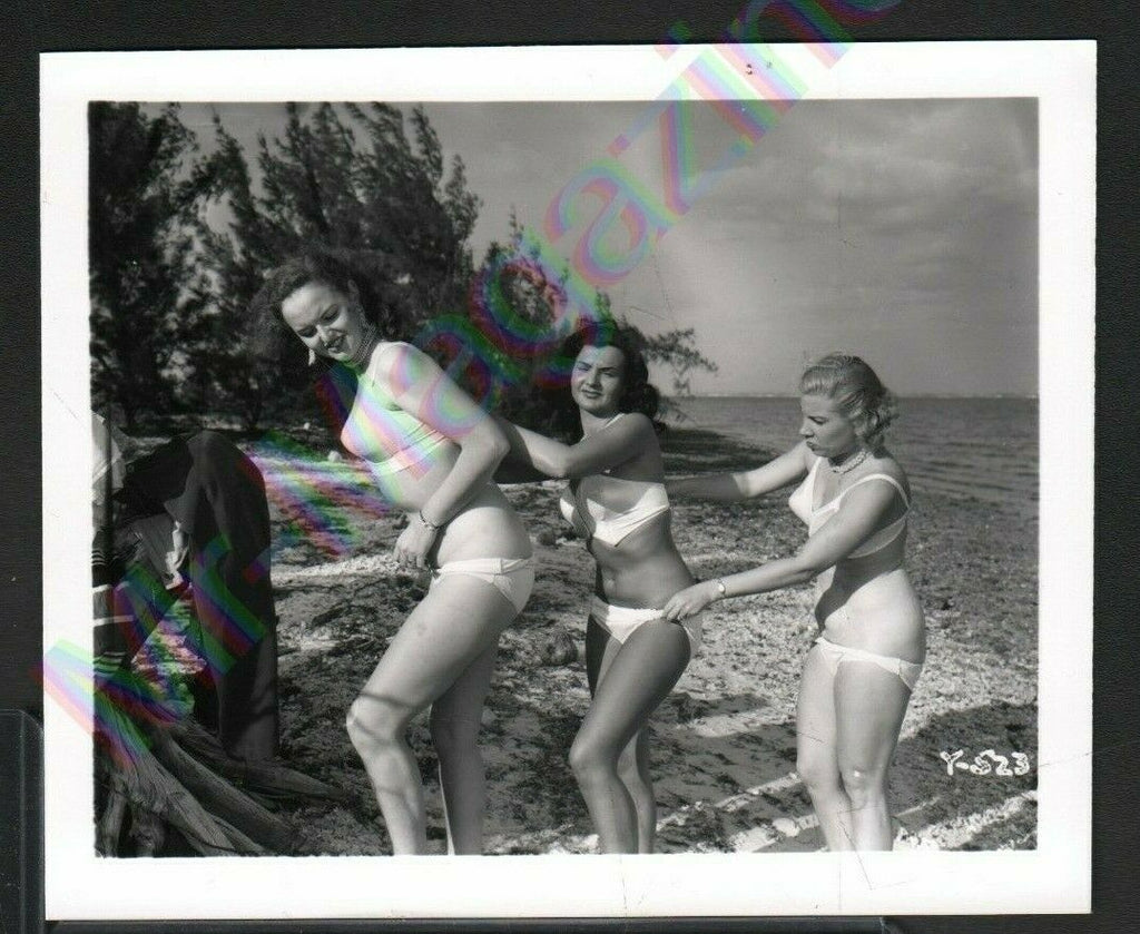 Vintage B&W Risque Pinup 4" x 5" Sexy Brunettes and Blonde Cheesecake AU35
