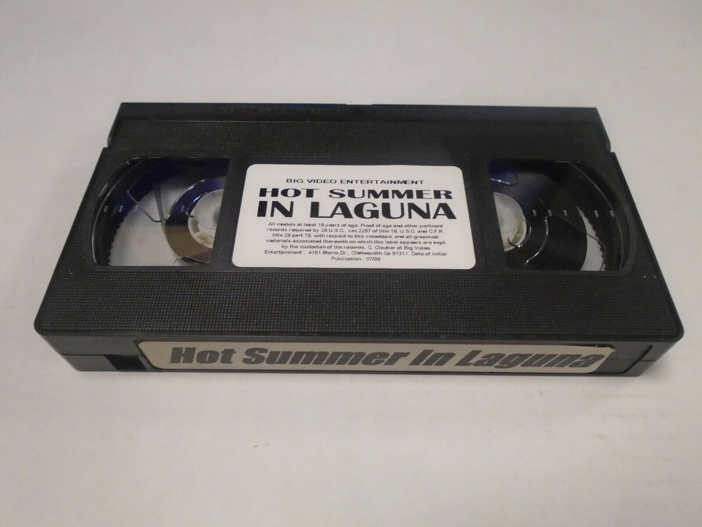 Hot Summer in Laguna Big Video Ent Gay Male Adult VHS 071719AMP2