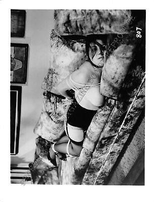 Adult Vintage B&W Photo 4x5 Bondage Beautiful Brunette Bound & Dominated 203WL