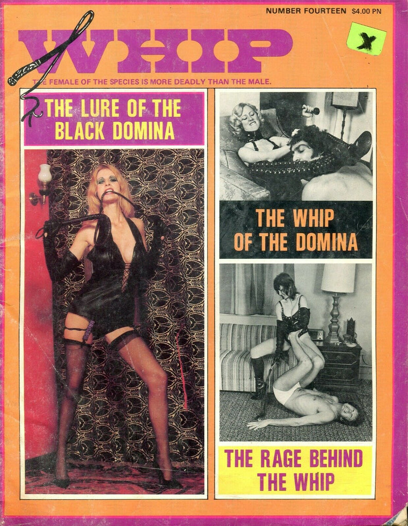 Whip Magazine The Whip Of The Domina #14 1977 071519lm-ep