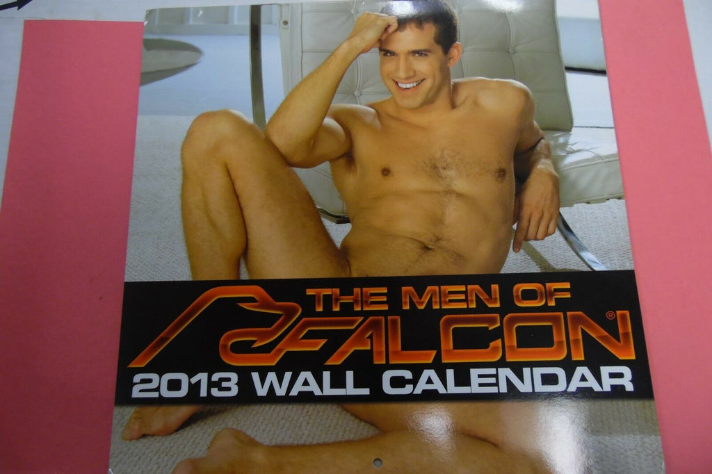 The Men Of Falcon 2013 Wall Calendar