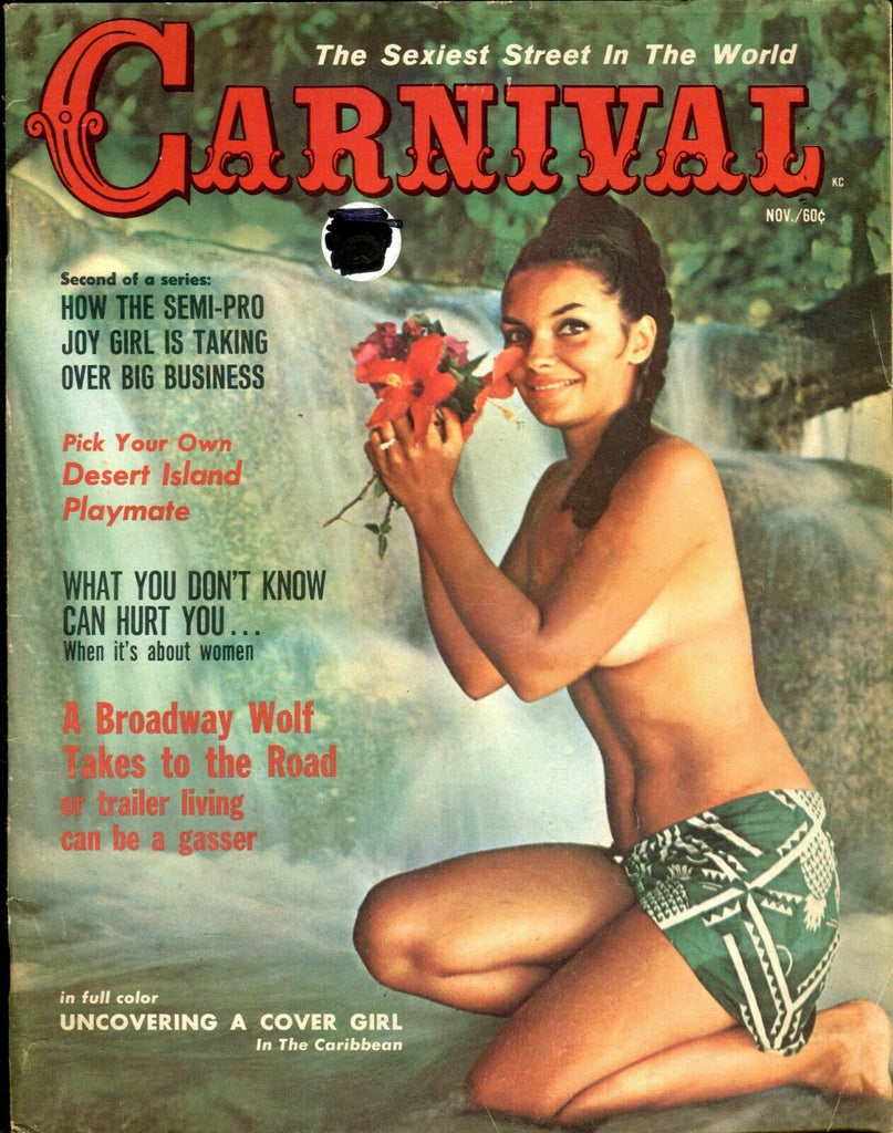 Carnival Magazine Cover Girl Sandi Frost November 1966 070519lm-ep2 - Used