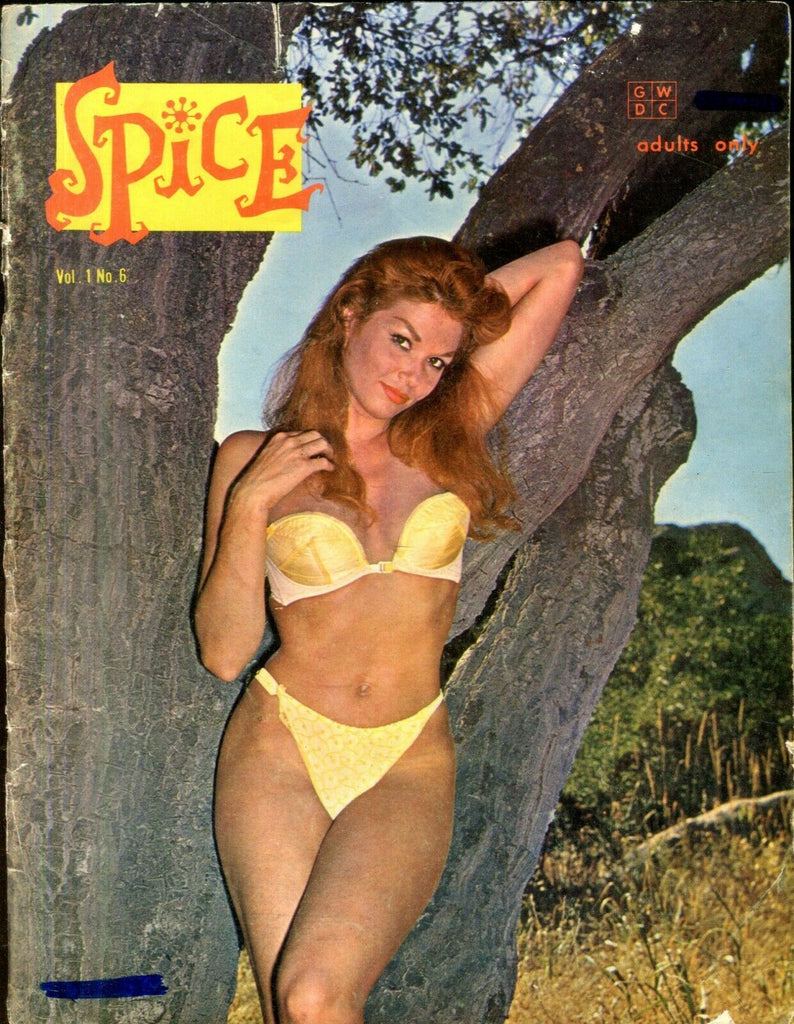 Unbranded Spice Magazine Lynn Harrison vol.1 #6 1961 030619lm-ep