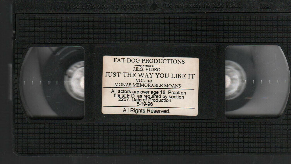 Just The Way You Like it Vol 42 Mona's Memorable Moans 1996 Adult VHS 021720AMP3