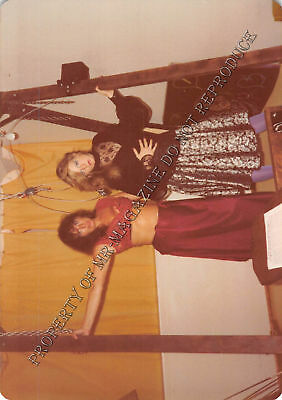 Adult 1970s Photo 3.5x5 Bondage Beautiful Dominatrix Posing Ready to Play 261HS