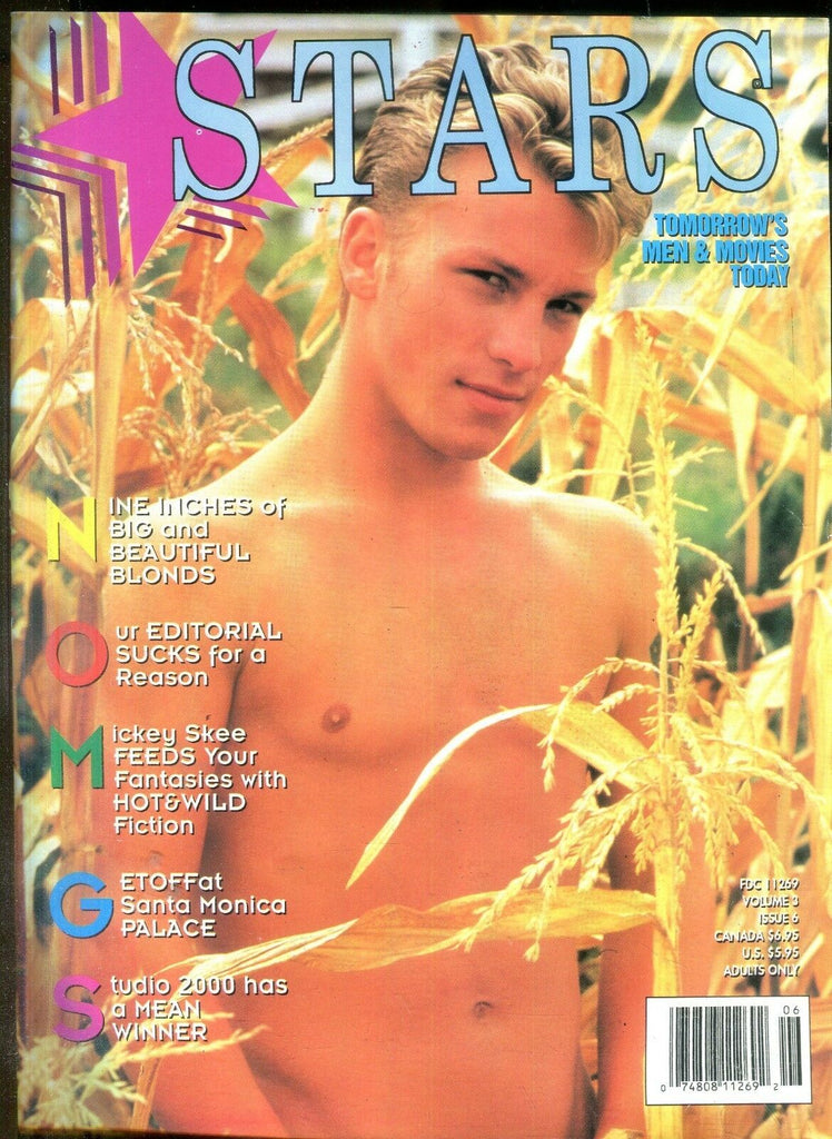 Stars Gay Magazine Ty Fox vol.3 #6 1994 013019lm-ep2