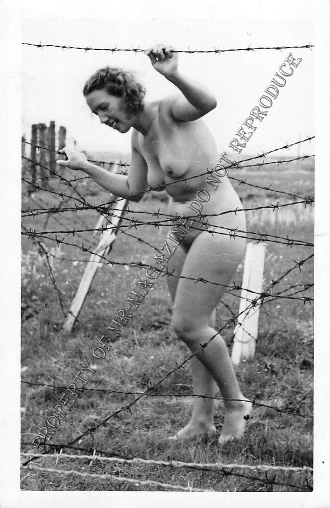 Adult Vintage 1950s B&W Photo 3.5x5.5 Sexy Brunette Nude Hairy Outdoors 103FE