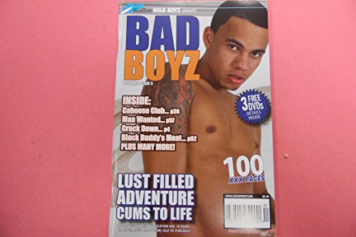 Bad Boyz Gay Adult Digest Lust Filled Adventure vol.2 #5 2010