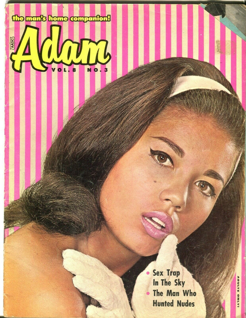 Adam Magazine Dyane McMatch vol.8 #3 1964 080519lm-ep