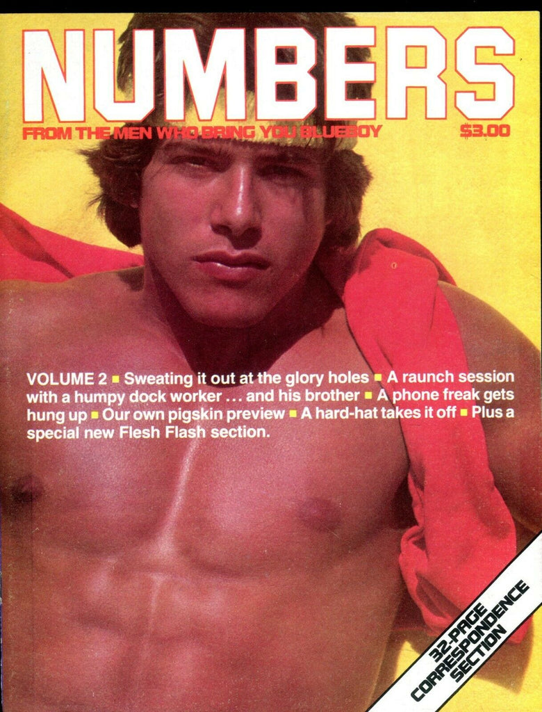 Numbers Gay Magazine Flesh Flash vol.2 November 1977 091319lm-ep