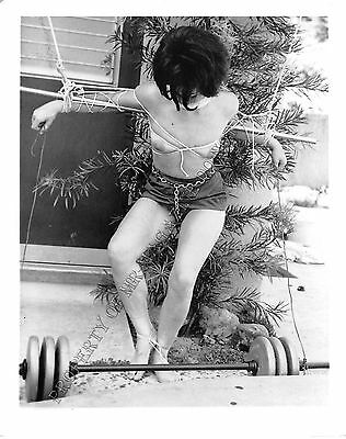 Vintage Adult B&W Photo 4x5 Bondage Beautiful Brunette Tied Up Standing 95MD