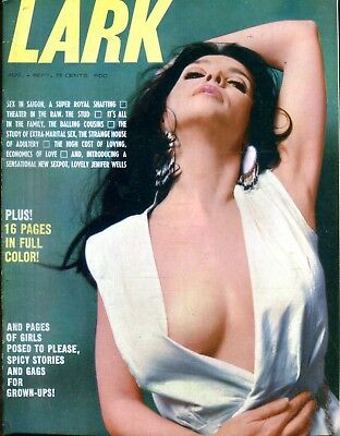 Lark Busty Magazine Sexpot Jenifer Wells August 1969 111018lm-ep