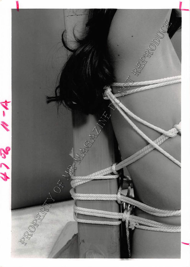 Adult Photo 1990s B&W 5x7 Bondage Beautiful MILF Ashley Renee Tied to Post 21GI