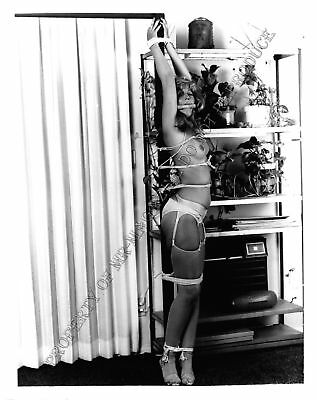 Adult Photo Vintage B&W 4x5 Bondage Beautiful Brunette Bound Dominated 281XU