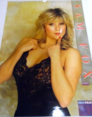 Sam Fox Calendar 1991 16 1/2 x 12 Publisher Culture Shock 052218lm-ep - New