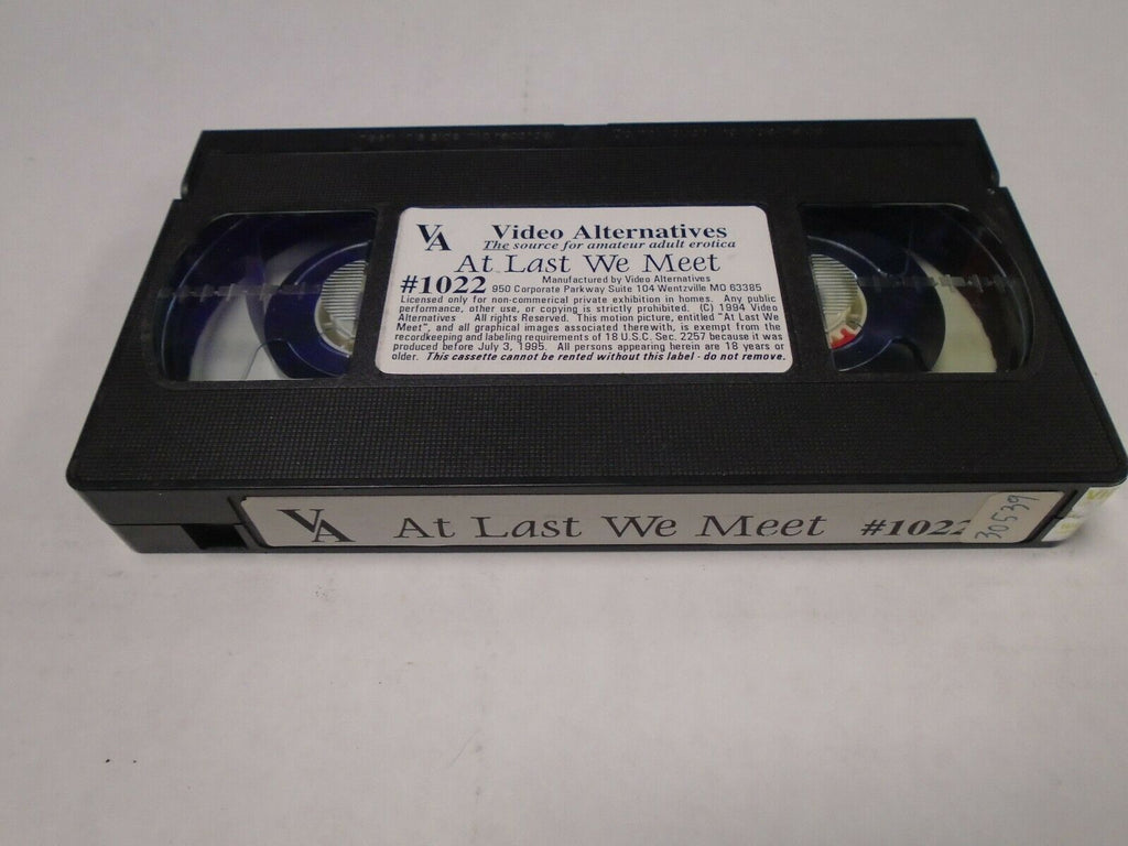 At Last We Meet Video #1022 Alternatives Adult VHS 031819AMP