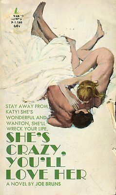 She's Crazy, You'll Love Her Novel by Joe Bruns 1968 021618lm-ep3