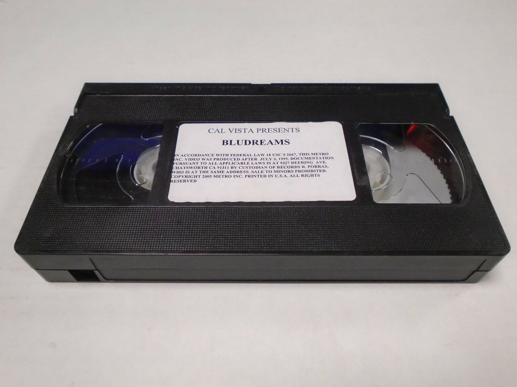 Blu Dreams Cal Vista 1995 Adult VHS 013119AMP