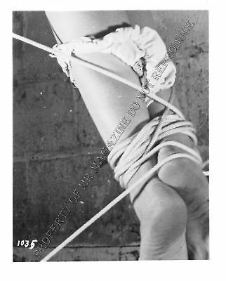 Adult Photo Vintage B&W 4x5 Bondage Beautiful Brunette Bound Dominated 114XU