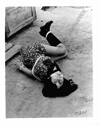Adult Photo Vintage B&W 4x5 Bondage Beautiful Brunette Bound Dominated 241XU