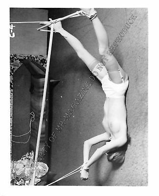 Adult Photo Vintage B&W 4x5 Bondage Beautiful Brunette Bound Dominated 23XU