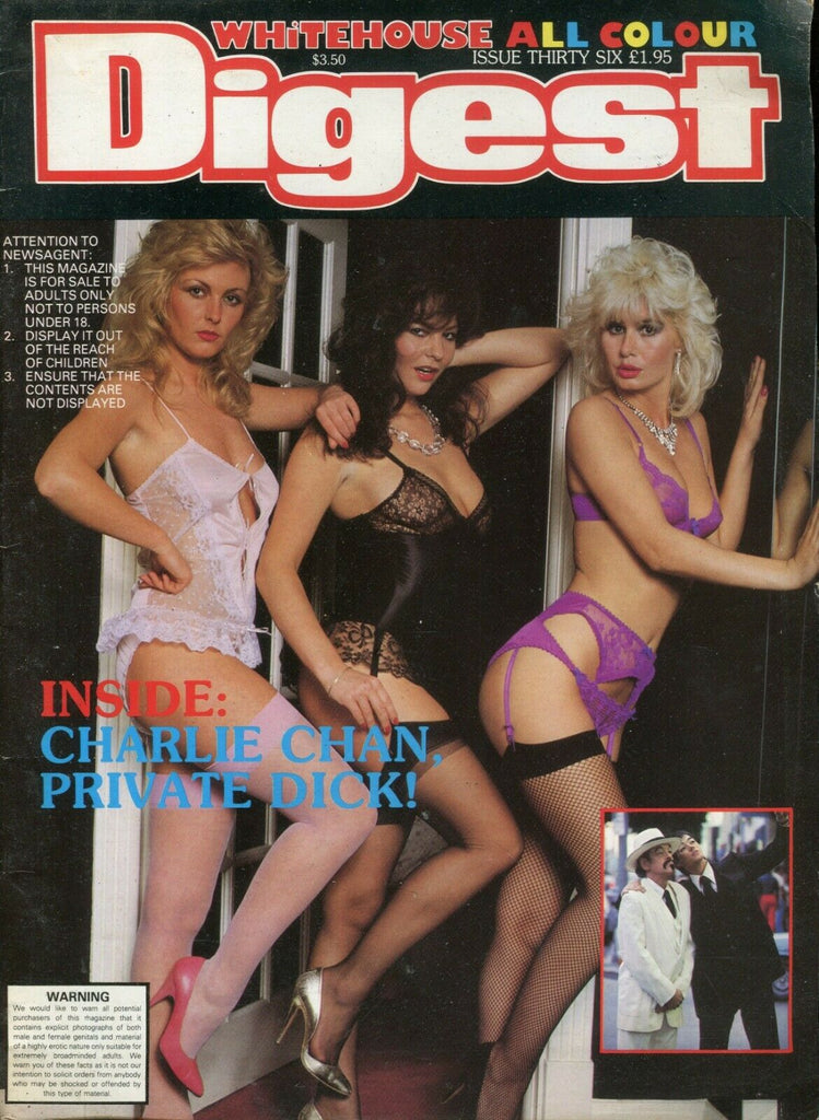 Whitehouse Digest Magazine Charlie Chan, Private Dick! #36 1984 072419lm-ep2