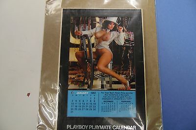 Playboy 1982 Playmate Desk Calendar 062816lm-ep - New