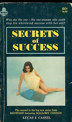 Secrets Of Success Novel by Lucas J. Cassel 1967 Midwood 021618lm-ep3