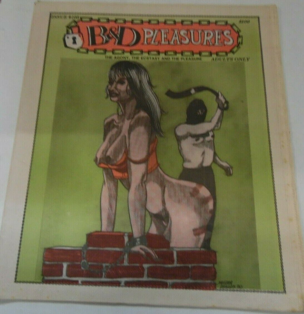 B & D Pleasures Newspaper Whipped Into Shape #105 1992 012920lm-ep2