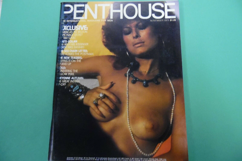 Penthouse Magazine Love In The Afternoon November 1975 101416lm-ep