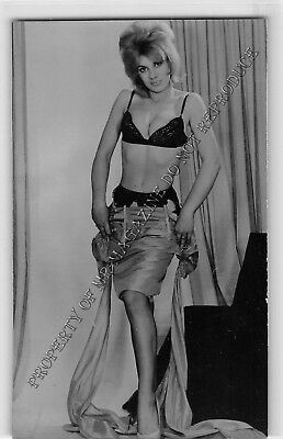 Adult Vintage B&W Photo 3.5x5.5 Beautiful Pin Up Model Posing Nude Sexy 128HT