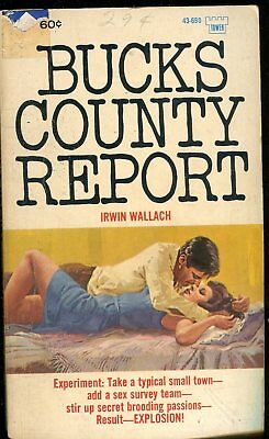Bucks County Report Novel by Irwin Wallach 1966 Tower Book 032718lm-ep2