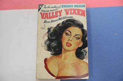 Valley Vixen Adult Novel by Ben Ames Williams 1948 062716lm-ep2