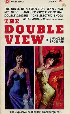 The Double View Adult Novel by Chandler Brossard 1965 022518lm-ep