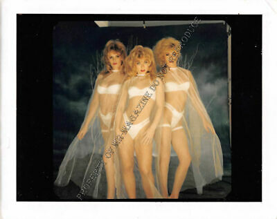Nina Hartley Original 3.5x4 1980s Sexy Photoshoot with Other Models 218ii