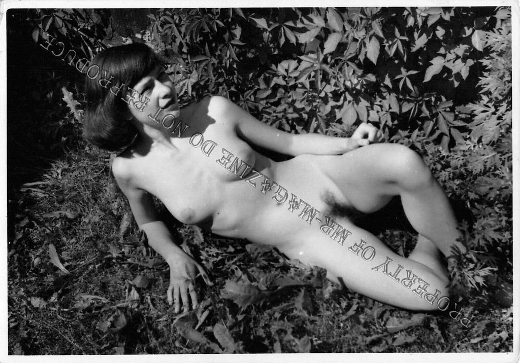Adult Vintage 1950s B&W Photo 4x6 Sexy Brunette Naked Outdoors Hairy Erotic 18FE