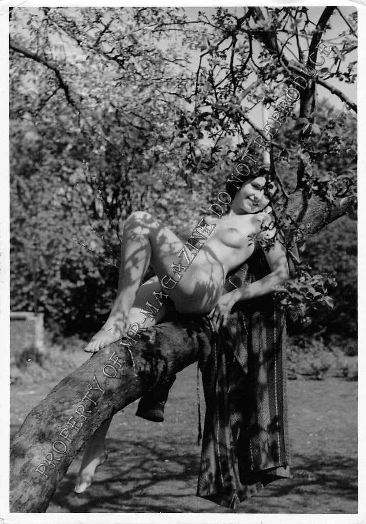 Adult Vintage 1950s B&W Photo 4x6 Sexy Brunette Nude Outdoors Hairy Bush 253FF