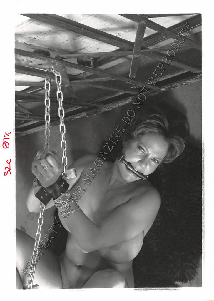 Adult Photo 1990s B&W 5x7 Bondage Busty Blonde & Chained to Gate 180CO