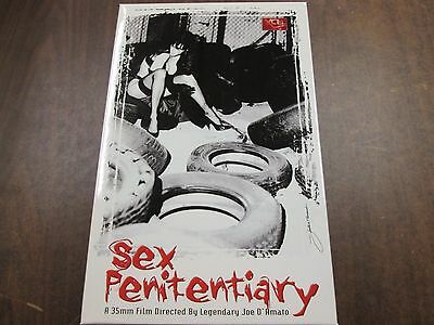 Sex Penitentiary Simona Valli Marina Perla NM Adult VHS 062415amp3