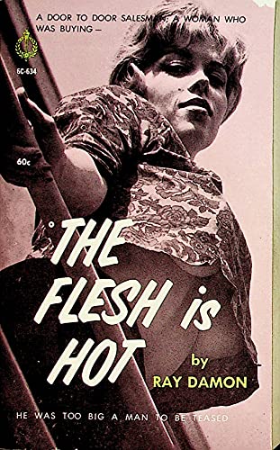 The Flesh Is Hot Adult Novel by Ray Damon 1963