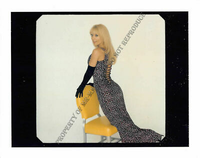 Nina Hartley Original 3.5x4 1990s Sexy Photoshoot in Sexy Outfit 224ii